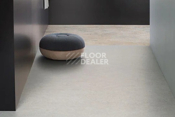 Линолеум Marmoleum Decibel 388935 cinder фото 1 | FLOORDEALER